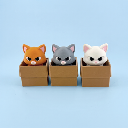 Box Cat fidget clicker in all three colours - orange, grey and white