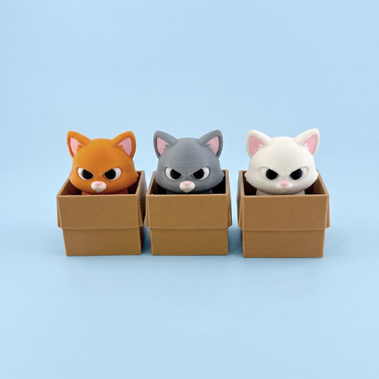 Box Cat fidget clicker in all three colours - orange, grey and white