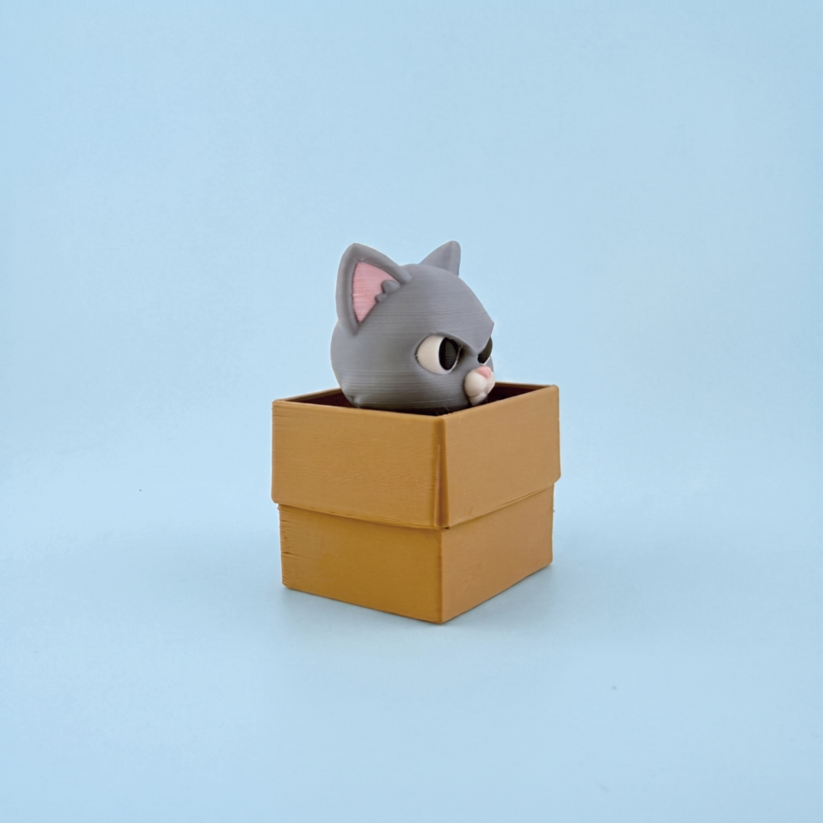 Grey Box Cat fidget clicker close up