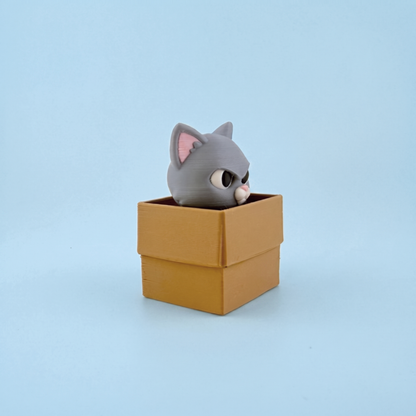 Grey Box Cat fidget clicker close up